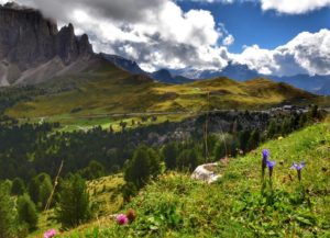 beautiful landscape at sella pass in the Italian dolomites