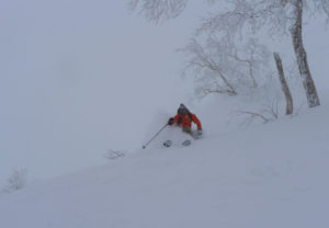 Japan powder skiing with Patagoniatiptop