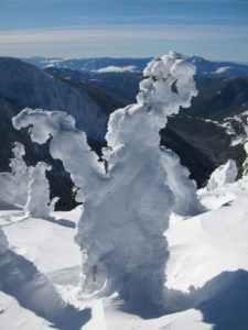 Patagoniatiptop powder snow