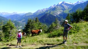 Chamonix hiking week with a guide, hiking alps