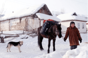horse with pack for skiing in Kyrgyzstan adventure