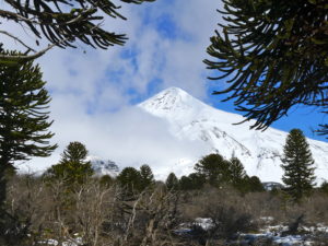 Volcano Lanin is a great ski touring mountain on the boarder line between Argentina and Chile
