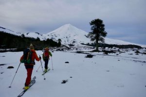 skitouring up to volcano llaima in Chile