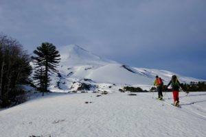 skitouring in Chile at volcano Llama