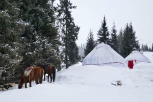 yurt for skitouring adventure in Kirgistan with horses