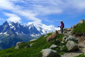 A hiker and a Chamois in Chamonix