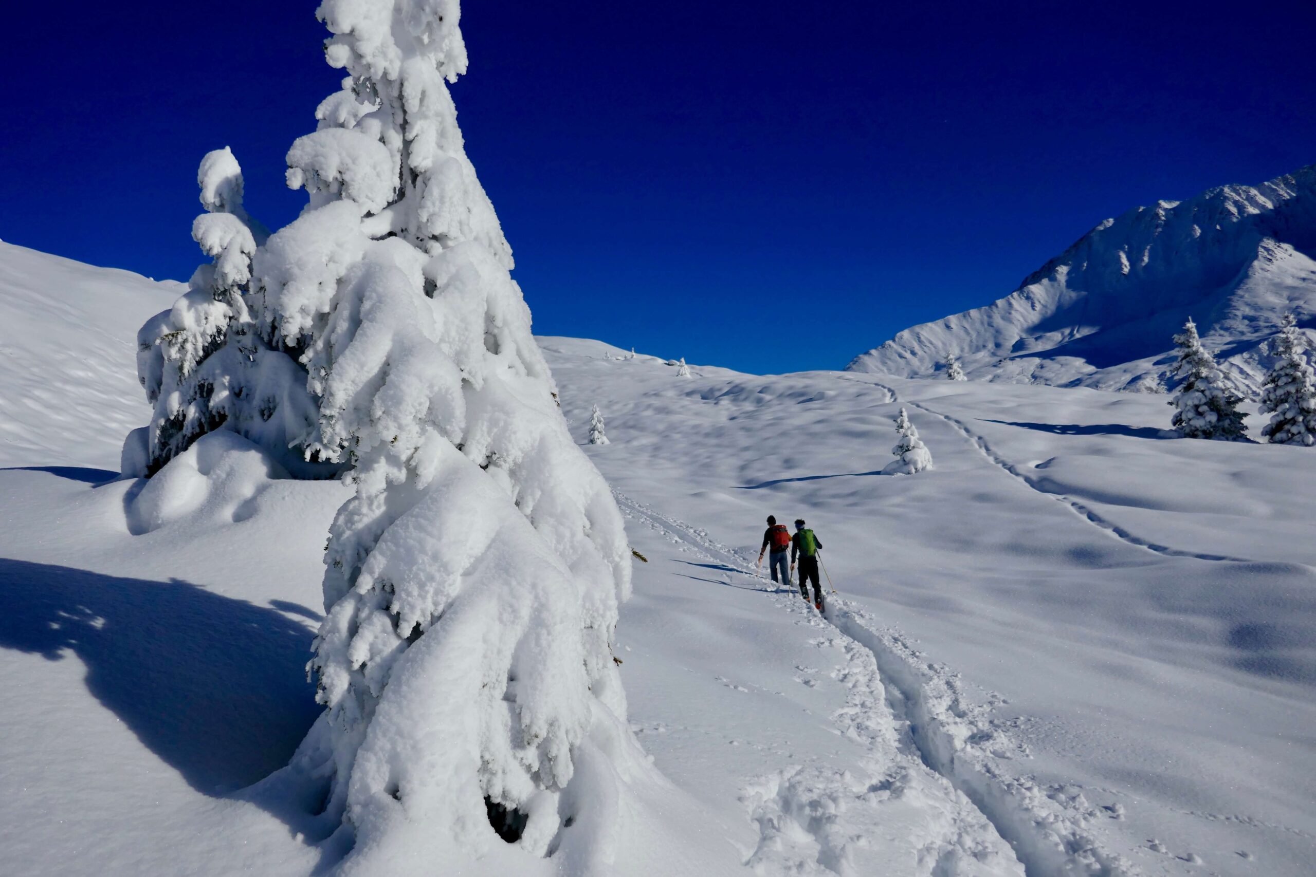 chamonix-skitouring-einstiegskurs
