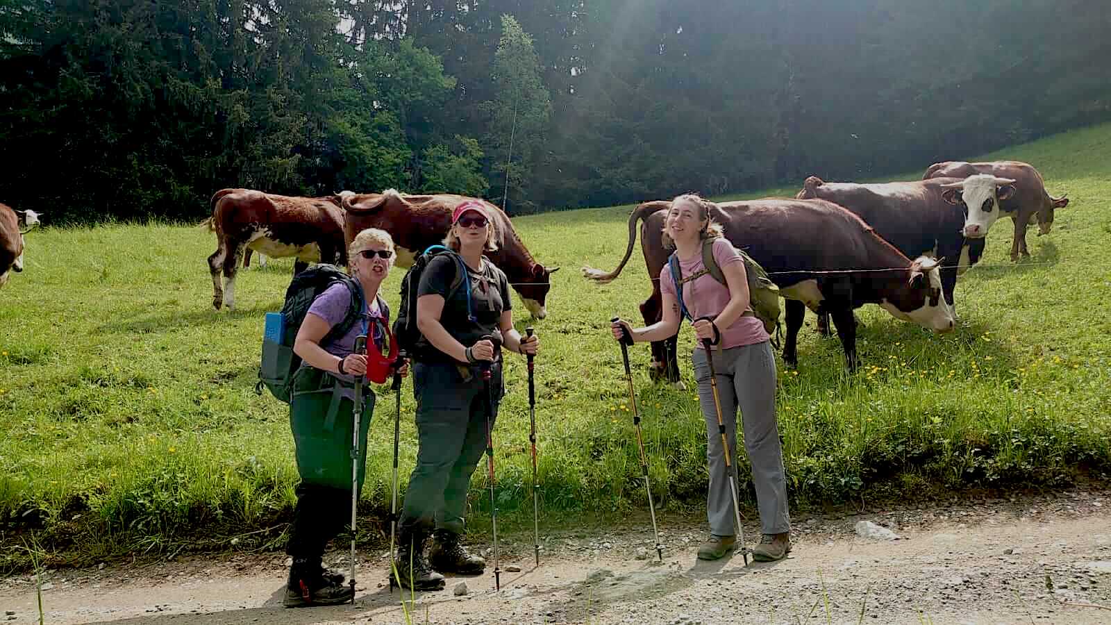 Happy-cows-and-hikers-in-Chamonix