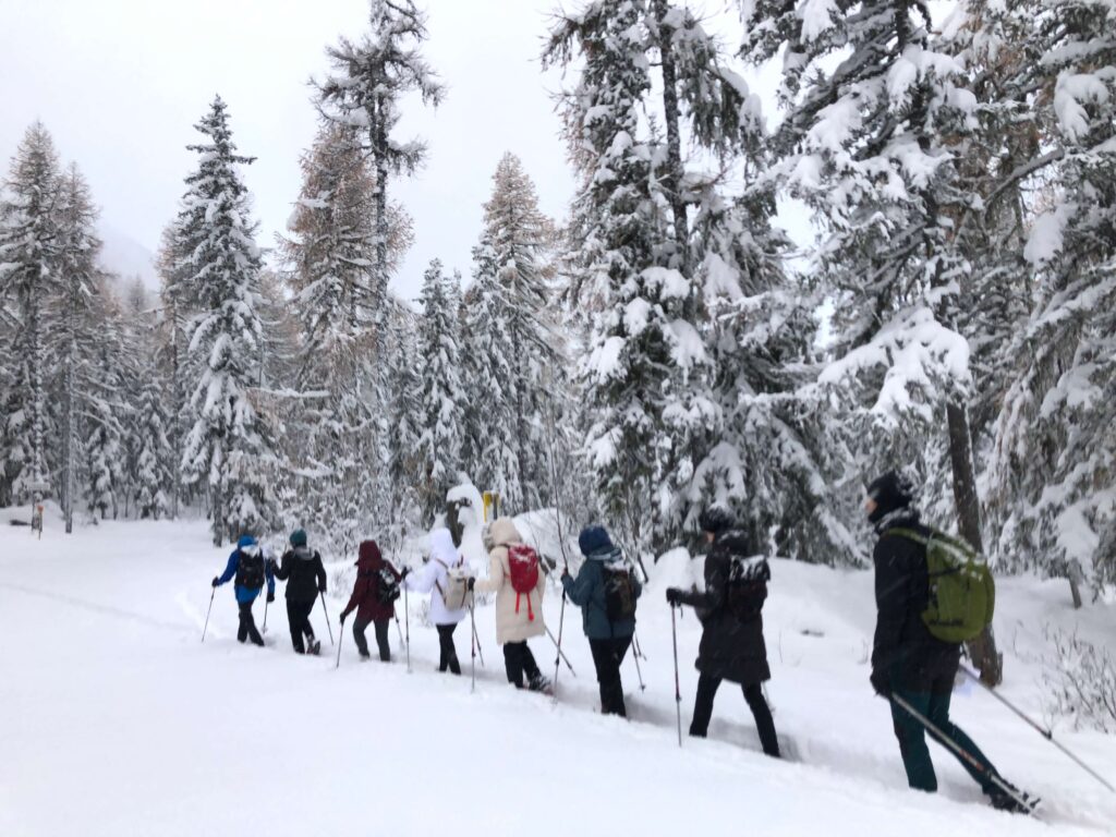 Snowshoe tour in Chamonix
