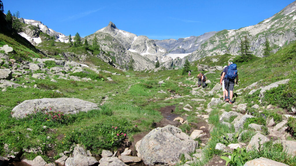Hiking in the Trient valle